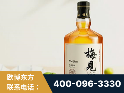 常德-梅见青梅酒
